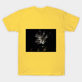 Plays of light - 1 T-Shirt